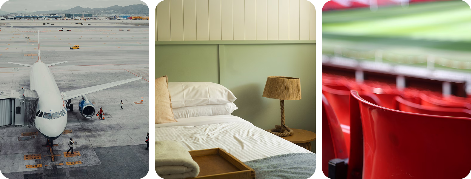 hotel, flight, and bed